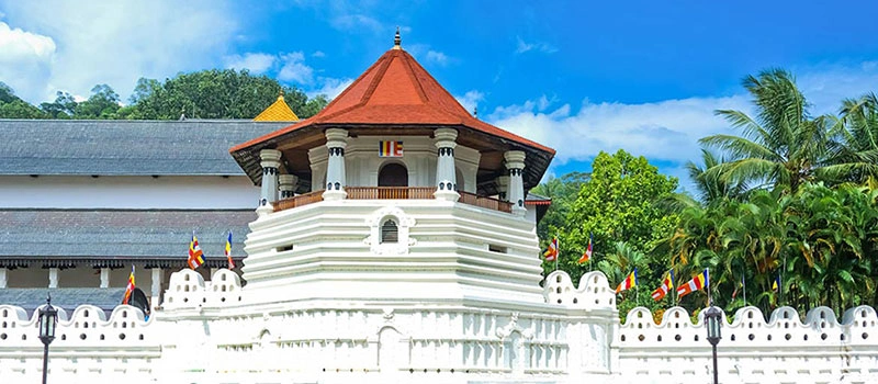 Visit Dalada Maligawa