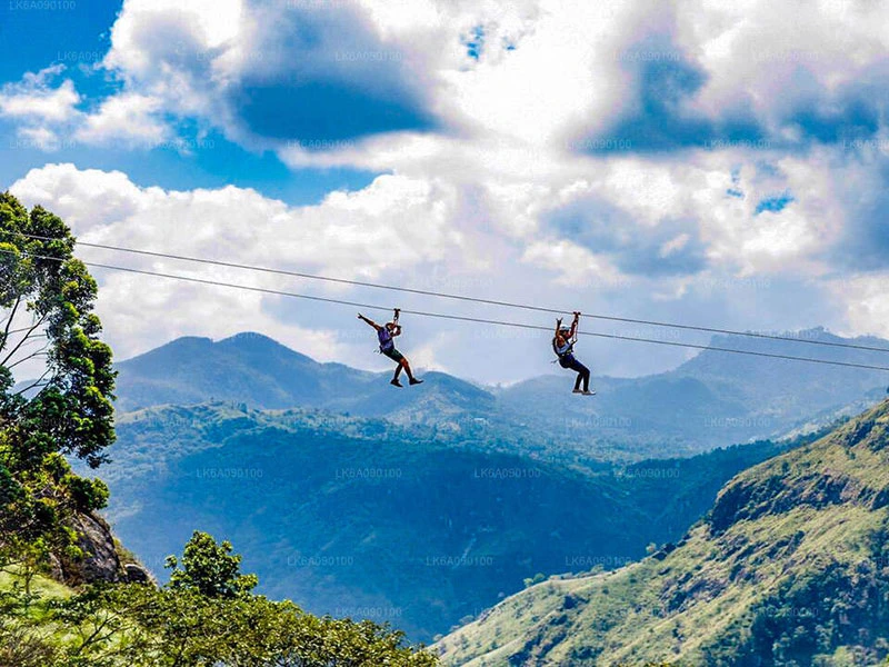 Thrill & Tranquility